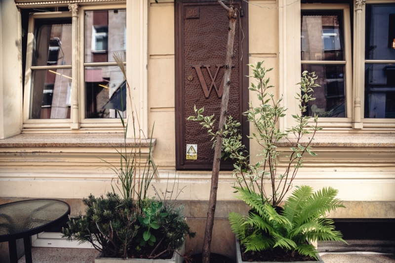 WBO: Wrocławianie chcą zielonego miasta - fot. Patrycja Dzwonkowska