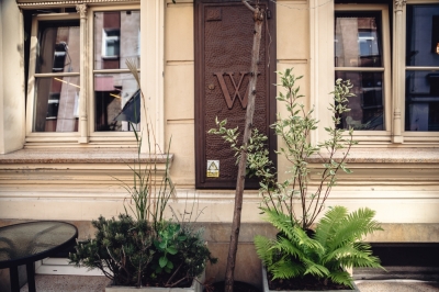 WBO: Wrocławianie chcą zielonego miasta