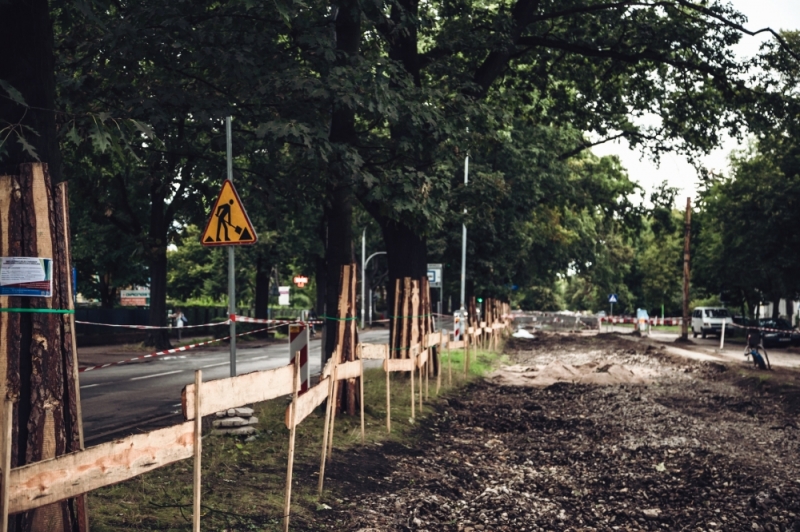 Drzewa opóźniają remont torowiska przy ulicy Olszewskiego - fot. Patrycja Dzwonkowska