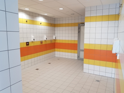 Dolnośląski Delfinek powstał w Szczawnie-Zdroju [ZDJĘCIA] - 7