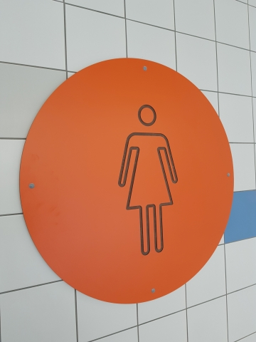 Dolnośląski Delfinek powstał w Szczawnie-Zdroju [ZDJĘCIA] - 8
