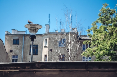 Natura, jedzenie i rzemiosło, czyli wrocławski Dzień Trójkąta - 2