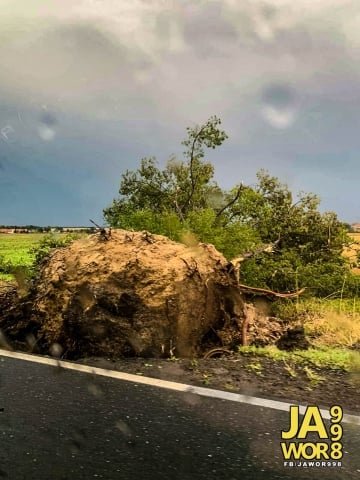 Pozrywane dachy, powalone drzewa i zalane piwnice. Skutki burz na Dolnym Śląsku - 0