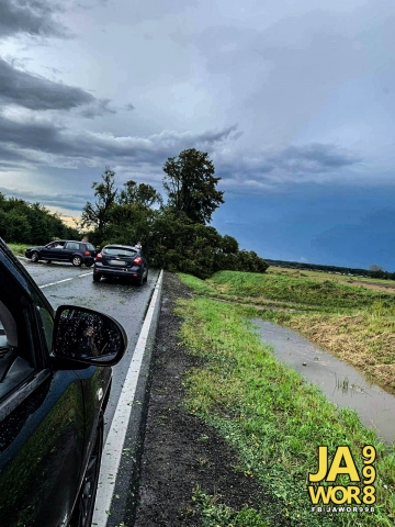 Pozrywane dachy, powalone drzewa i zalane piwnice. Skutki burz na Dolnym Śląsku - 3