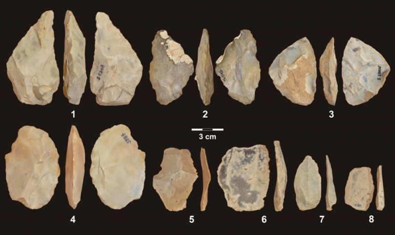 Spektakularne odkrycie wrocławskich naukowców. Wydobyli DNA z zęba neandertalczyka - fot. mat.prasowe