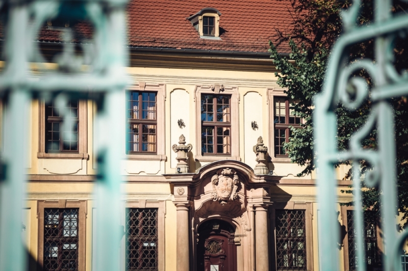 ZDJĘCIE DNIA: Barok lubi żółty - fot. Patrycja Dzwonkowska
