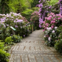 Arboretum w Wojsławicach