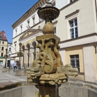 Fontanna Delfina w Złotoryi