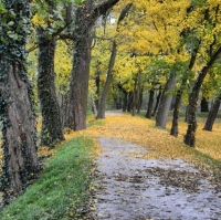 Ścieżka edukacyjna Park Prochowice