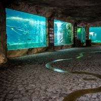Ścieżki edukacyjne we wrocławskim ZOO
