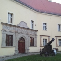 Zamek Piastowski w Chojnowie