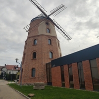 Polkowicki holender