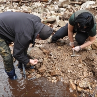 Wycieczki w poszukiwaniu minerałów