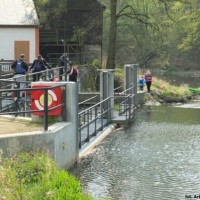 Przystań w Radomierzycach