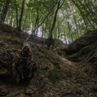Trzy jaskinie Wilcza Jama, Niedźwiedzia Jama i Skalny Wodospad