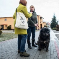 Schronisko Azyl w Dzierżoniowie 