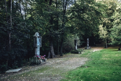 Ukryte na skraju lasu - Święte Wzgórze [FOTOSPACER] - 3