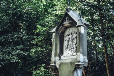 Ukryte na skraju lasu - Święte Wzgórze [FOTOSPACER] - 5