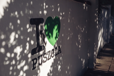 Tutaj możesz wybrać ulubioną porę roku [FOTOSPACER] - 10