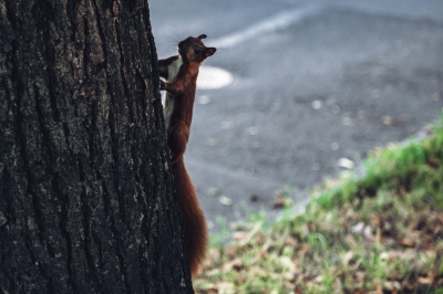 Tutaj możesz wybrać ulubioną porę roku [FOTOSPACER] - 5