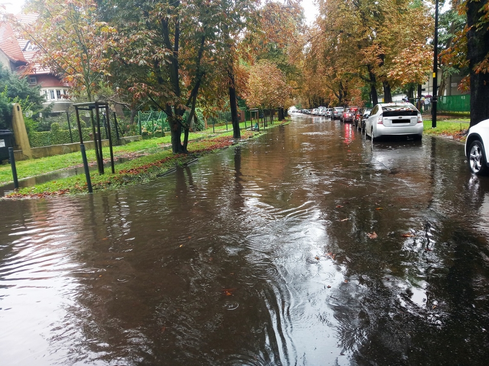 Intensywny deszcz na Dolnym Śląsku - fot. J. Kościelna