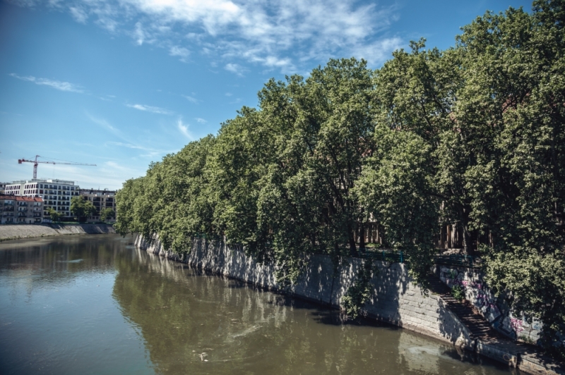 Ostrzeżenie hydrologiczne dla okolic Wrocławia - fot. Patrycja Dzwonkowska