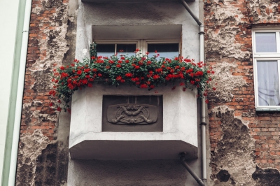 Diabeł tkwi w szczegółach, czyli Ołbin z detalami [FOTOSPACER] - 12