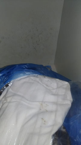Grzyb, wilgoć i robactwo. Tak mieszka się w "Przyjaznym Smolcu" - 14