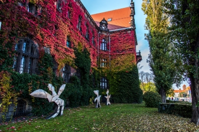 Płonie Muzeum Narodowe... kolorami [FOTOSPACER]
