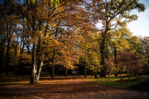 Złota i karmazynowa. Jesień w Parku Szczytnickim [FOTOSPACER] - 5