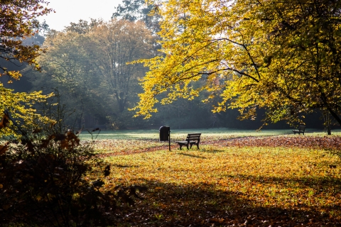 Złota i karmazynowa. Jesień w Parku Szczytnickim [FOTOSPACER] - 12