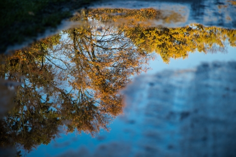 Złota i karmazynowa. Jesień w Parku Szczytnickim [FOTOSPACER] - 13
