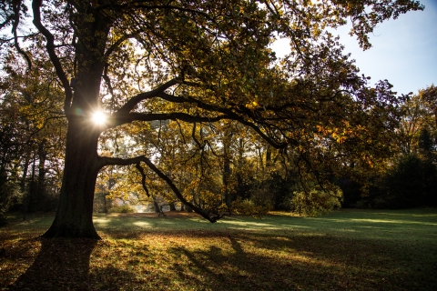 Złota i karmazynowa. Jesień w Parku Szczytnickim [FOTOSPACER] - 7