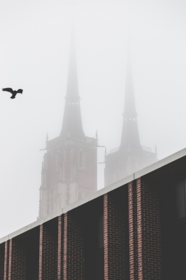 Miasto tonie we mgle [FOTOSPACER] - 12