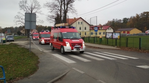 Syreny alarmowe we wsiach koło Złotoryi. Mieszkańcy świętują 11 listopada - 3