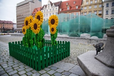 Życzliwe klocki na wrocławskim rynku (FOTOGALERIA)