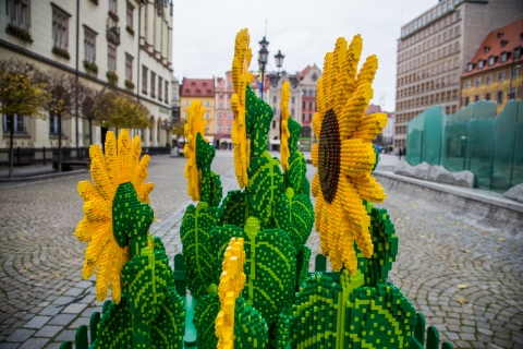 Życzliwe klocki na wrocławskim rynku (FOTOGALERIA) - 10