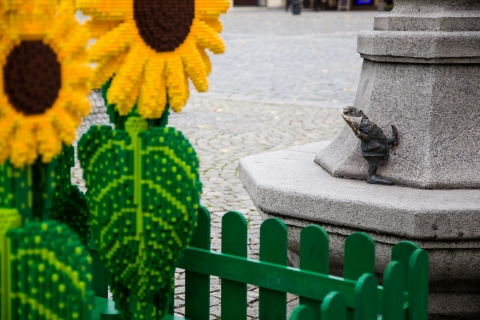 Życzliwe klocki na wrocławskim rynku (FOTOGALERIA) - 12