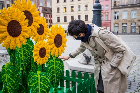 Życzliwe klocki na wrocławskim rynku (FOTOGALERIA) - 2