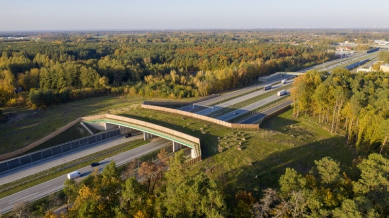 Jak powstają zwierzęce autostrady? To nie są zwyczajne wiadukty - fot. GDDKiA
