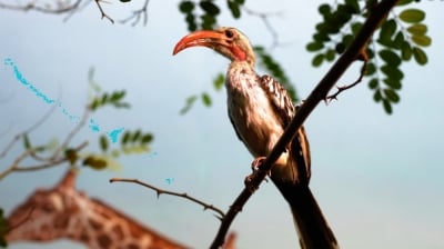 Jelenia G&oacute;ra: Największa w historii wystawa przyrodnicza