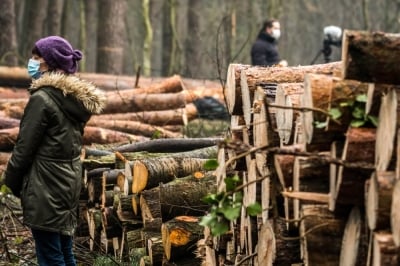 Ratujmy Las Mokrzański - petycję w tej sprawie podpisało prawie 6 tysięcy os&oacute;b