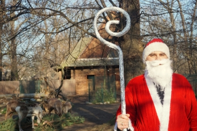 Mieszkańcy wrocławskiego Zoo też mają swoją wigilię