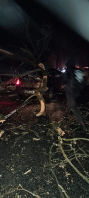 Silny wiatr na Dolny Śląsku. Ostrzeżenie IMGW - 0