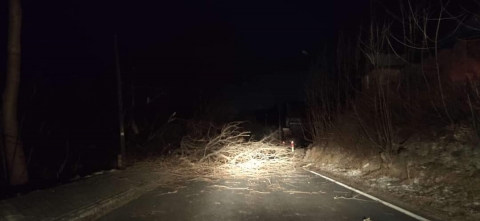 Silny wiatr na Dolny Śląsku. Ostrzeżenie IMGW - 1