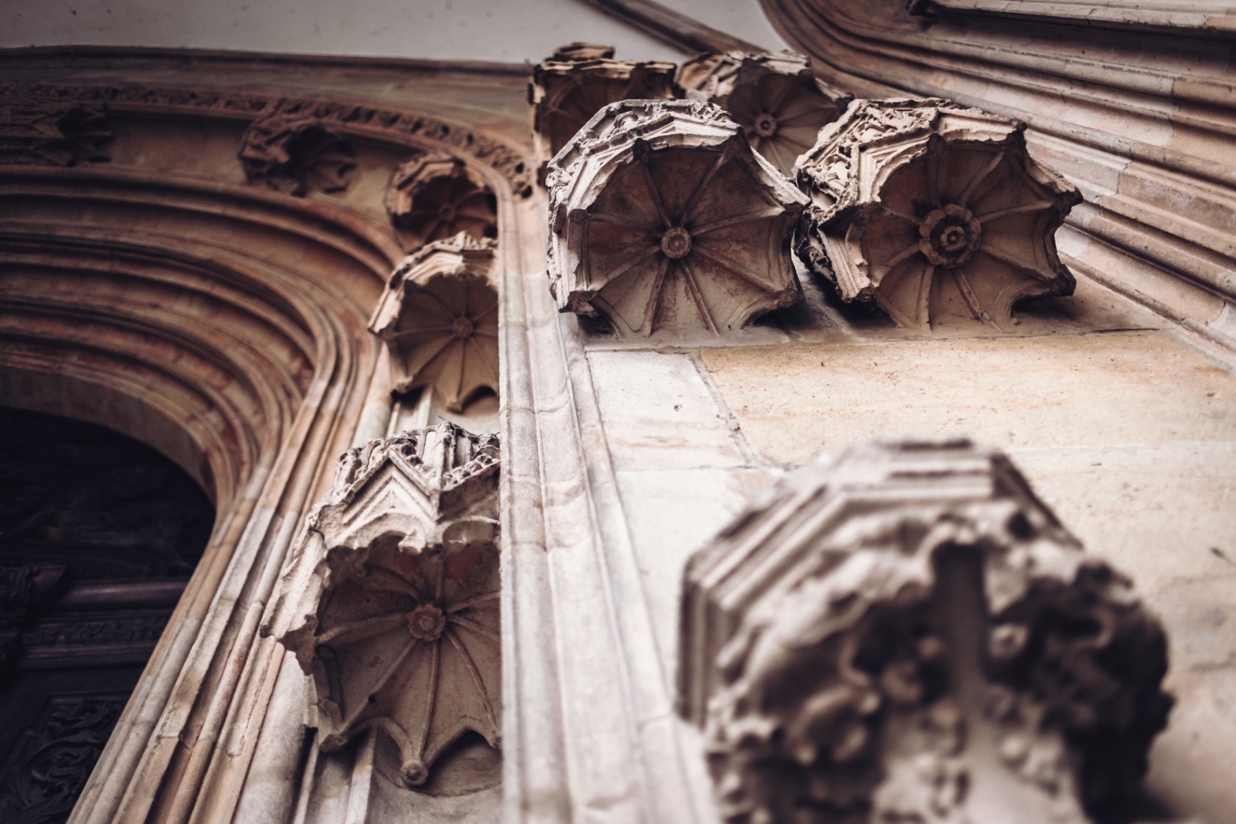 Rzygacze, maszkarony i spadająca głowa - Katedra Wrocławska w detalach [FOTOSPACER]