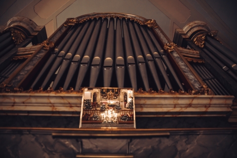 Brzezia Łąka [FOTOSPACER] - 13