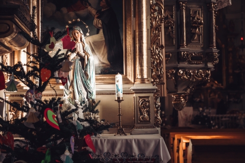 Brzezia Łąka [FOTOSPACER] - 14