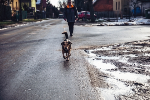 Brzezia Łąka [FOTOSPACER] - 8