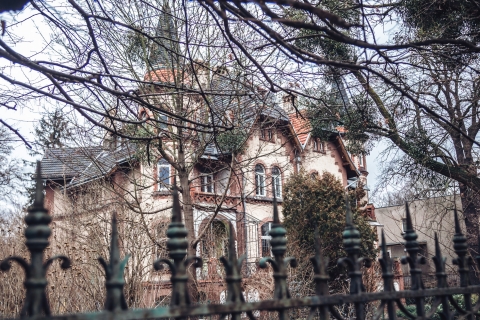 Wieszcz wstydzić się nie musi. Ulica Mickiewicza [FOTOSPACER] - 8